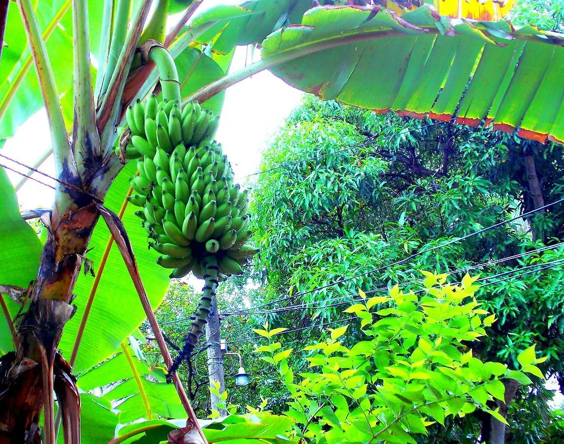 Chill Space Negombo Hostel