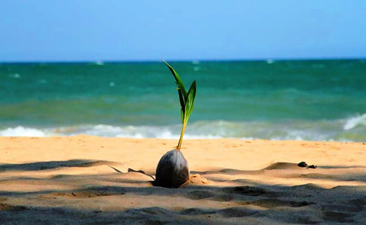 Chill Space Negombo 0*,  Sri Lanka
